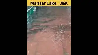 Visuals of Mansar Lake after rain 😱 #shorts #ytshorts #trending #viralvideo #jkmedia