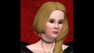 Les sims artists pr&eacute;sentent le set du store 