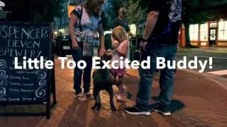 9 m/o Pit bull [Fives] | Best Fredericksburg Virginia Dog Training | FXBG VA K9 Training