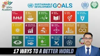 What Are the Sustainable Development Goals (SDGs)? | Syed Salman Fatmi | NYLP |  IHRC | SDGs Academy