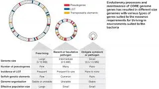 Micro Genetics Intro