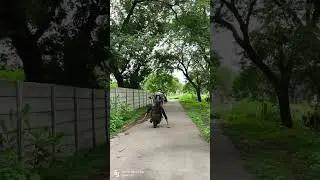 rider prashant #activa#rider #vilian #shorts #short #shortvideo