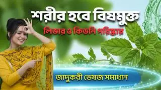 লিভার কিডনি ও রক্ত পরিষ্কারের সেরা ভেষজ উপায়: Natural Detox Decoded for a Healthy Body and Long Life