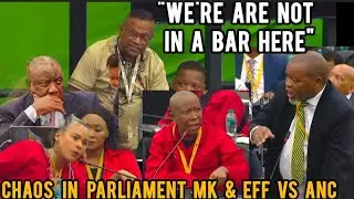 Watch Chaos Erupted in Parliament EFF Malema, Mathys & MKP Skosana Clash with ANC