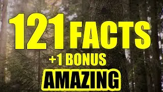 121 Interesting Facts | Random Facts You Never Knew- (+1 Bonus Facts)