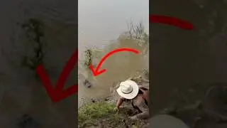 FISHING GONE WRONG ‼️🐊 #fishing #pesca #alligator