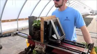 Dividing Perennials