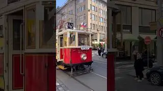 Historical tram in the centre of Prague 🚋 #prague #tram #history #beautiful #czechia #2025 #views