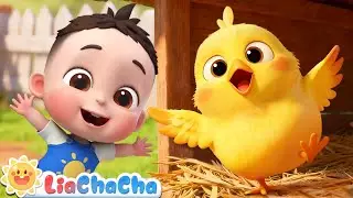 Baby and Little Chicks 🐤| EP211 | Farm Animals Song | Nursery Rhymes & Kids Songs | LiaChaCha