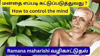 How to Control Your Mind: Lessons from Ramana Maharshi - who am I  