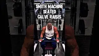 SMITH MACHINE SEATED CALVE RAISES #calves #workout #motivation #pump #smithmachine