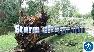 Summer | City: Purmerend. Heavy storm Poly Netherlands aftermath