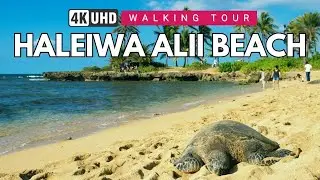 HALEIWA ALII BEACH 🌎 HAWAII WALKING TOUR 🇺🇸 4K 60FPS | BEST BEACH IN THE USA | OAHU TRAVEL GUIDE