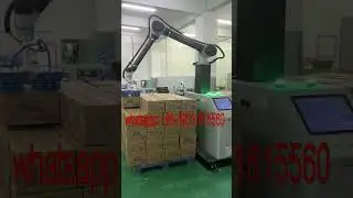 automatic palletizer for case