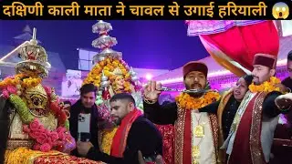 मां दक्षिणी काली माता ने चावल से उगाई हरियाली  सब यह देख कर हैरान हो गए 😱🤔#devbhoomiuttarakhand