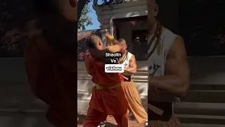 Shaolin vs vishnu 🇮🇳 #india #challenge #impossible #skills #youtubeshorts #hardwork #shorts #respect