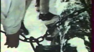 &Scaron;umiac (1976) - Furmansk&eacute; ozveny