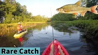 ACTION PACKED Kayak Fishing Adventure! (5 Species)