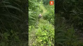 The Ultimate Farm & Ranch Partner | AEROBS FARM ATV#farmvehicle #utv #farming