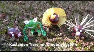 Kinder Outdoor basteln🌰: Kastanientiere🦁