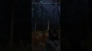 The Developers of Stalker 2 Really Paid Attention to Detail...