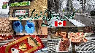 New Halal Meat Shop Visit in Ontario Canada | Full detail Tour | DUBAI TO CANADA SERIES🇨🇦