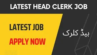 Latest Head Clerk Jobs 2022 | Alfair
