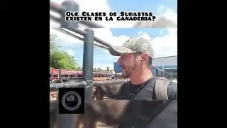 Que Clases de subastas existen en la ganaderia?