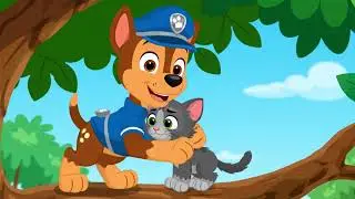 Chase y el Rescate del Gatito 🚓🐱 | Video Largo para Ni&ntilde;os y Beb&eacute;s
