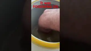 THIS WAS POISONING US!