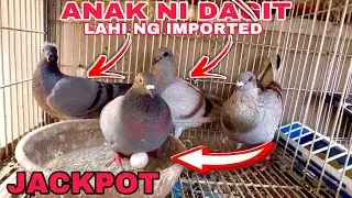 EP626 - ANAK NI DAGIT PANG 3M at 2M CLUB RING GUARANTEED NA!