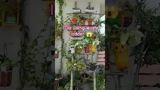 DIY Ladder Plant Stand | Old to Gold Jugadu Idea 🌿✨ #ladder #outofwaste #diyideas
