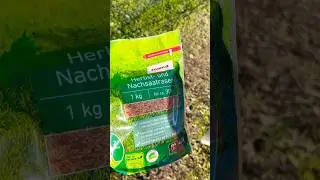 Ein bisschen Gartenpflege schadet nie 🪴🪏 #garten #h&uuml;hner #h&uuml;hnerstall #gartenarbeit