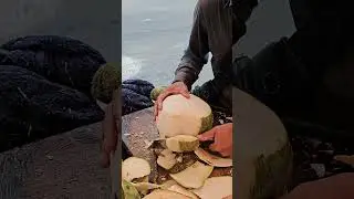 Fantastic skills cutting fresh coconut #streetfood #shorts #viral #cuttingskills #asmr