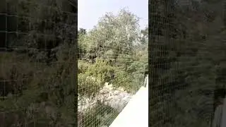 Best Bird Netting Services for Your Property | balcony safety nets | Net for balcony near me