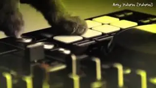 Mix Cat - Bila kucing berparti
