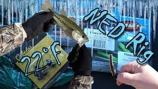 22 Degree Bass, on a Ned rig