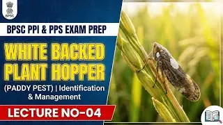BPSC PPI & PPS Exam Prep | White Backed Plant Hopper (WBPH) | Paddy Pest | Lecture No-04