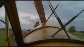 Tiger Moth - Miss Sophie