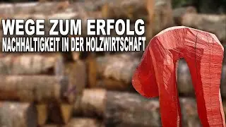 Wege zum Erfolg: Nachhaltigkeit in der Holzwirtschaft || Holzfachschule Bad Wildungen