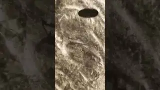 Coin infinite Loop - #coin #money #loop #infinite #transition #relax #satisfying #shorts #macro #ai