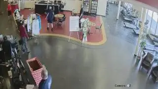 Deer jumps through gym glass wall