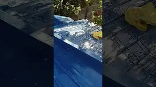 ribtype roofing