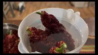 How I make a cold infused Sumac-Ade