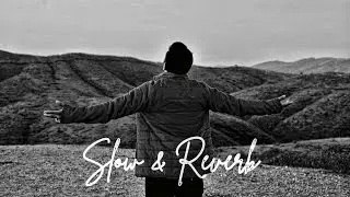 Top 5 Song Reverb & Slowed  - ( Abhiii )