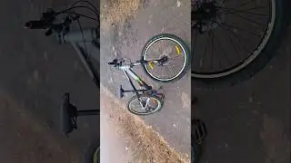 CINEMATIC SHORTS__MTB__MISTFUL MORNING