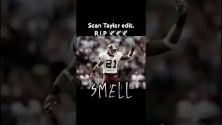 Sean Taylor edit