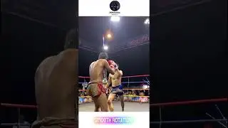 The Most BRUTAL KNOCKOUTS 💀🥊| #ufc #mma #boxing #highlights