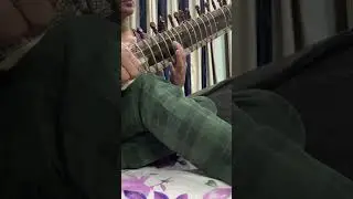 Sitar lessons for beginners 🤗 #music #shortsvideo #shorts