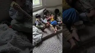 canlarım oynuyorlar. alişer eylem İsa ve kad&eacute; sor